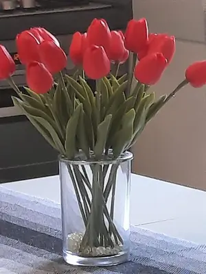 Tlocrt objekta Beach apartment KATE - Wake up to the sea, terrace, garden & parking, Murter - Dalmatia