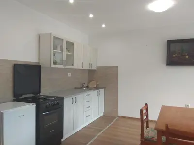 Kuhinja ili čajna kuhinja u objektu Apartmani Alma