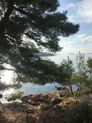 Priroda u blizini apartmana