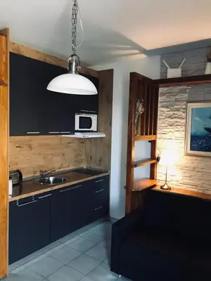 Kuhinja ili čajna kuhinja u objektu Studio Apartman Lokvice