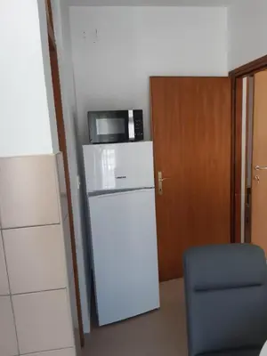 Kuhinja ili čajna kuhinja u objektu Apartmani Frano