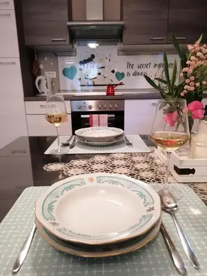 Kuhinja ili čajna kuhinja u objektu Apartman Luna