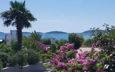 Priroda u blizini apartmana