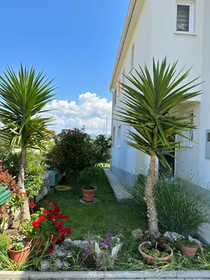Vrt u objektu Holiday home MB