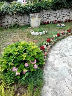 Vrt u objektu Apartment Tisno 17716a