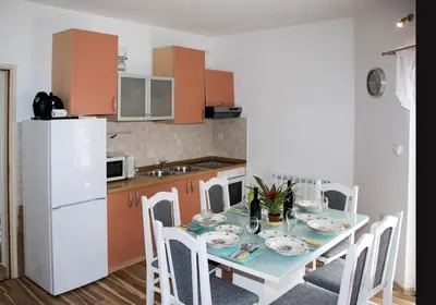 Kuhinja ili čajna kuhinja u objektu Apartments Ankica