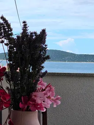 Priroda u blizini apartmana