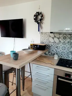Kuhinja ili čajna kuhinja u objektu House Tereza