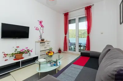 TV i/ili zabavni centar u objektu Apartments and rooms with parking space Grebastica, Sibenik - 17831