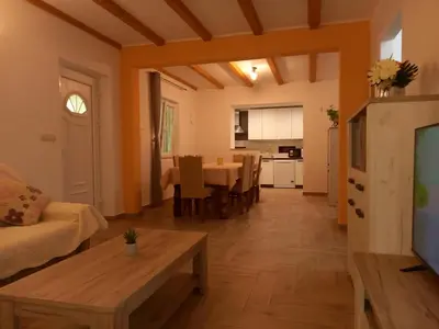 TV i/ili zabavni centar u objektu LOZA-holiday home,kuca za odmor