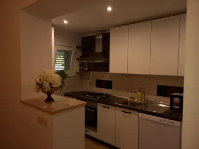 Kuhinja ili čajna kuhinja u objektu LOZA-holiday home,kuca za odmor