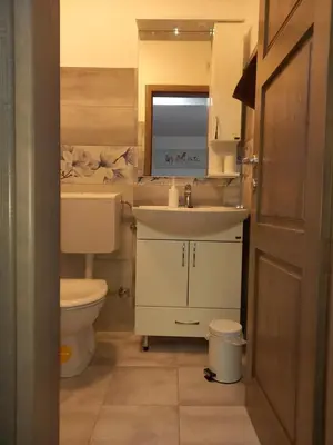 Kupaonica u objektu LOZA-holiday home,kuca za odmor