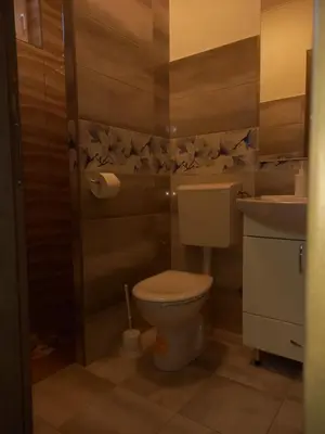 Kupaonica u objektu LOZA-holiday home,kuca za odmor
