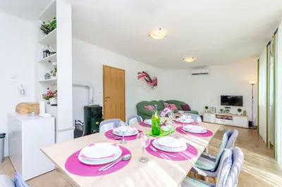 TV i/ili zabavni centar u objektu Apartment Snjezana