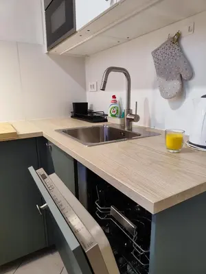 Kuhinja ili čajna kuhinja u objektu Apartmani Seka