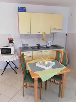 Kuhinja ili čajna kuhinja u objektu Apartmani Slavka