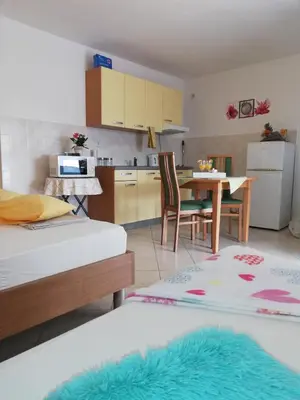 Kuhinja ili čajna kuhinja u objektu Apartmani Slavka
