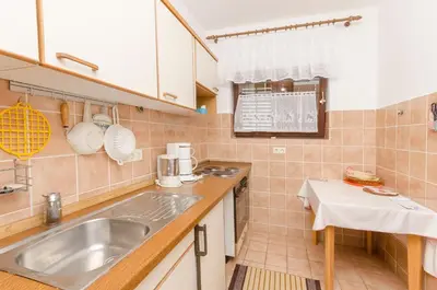 Kuhinja ili čajna kuhinja u objektu Apartment Jasna summer barbeque