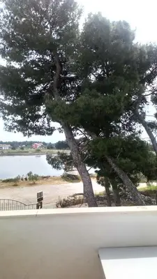 Priroda u blizini apartmana