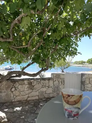 Priroda u blizini apartmana