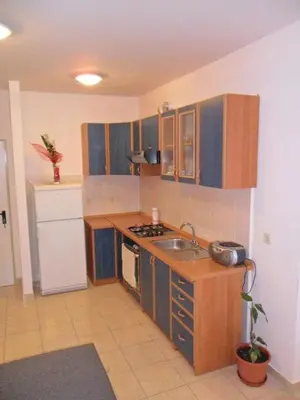 Kuhinja ili čajna kuhinja u objektu Apartment Blaga