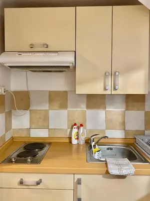 Kuhinja ili čajna kuhinja u objektu Guest Accommodation Grozdanić