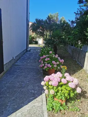 Vrt u objektu Bugenvila