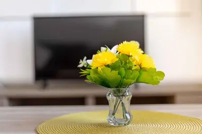 TV i/ili zabavni centar u objektu Apartment Rogoznica - Sibenik Riviera 36423