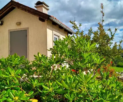 Vrt u objektu Apartment Rogoznica - Sibenik Riviera 36429