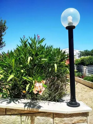 Vrt u objektu Apartment Rogoznica - Sibenik Riviera 36429