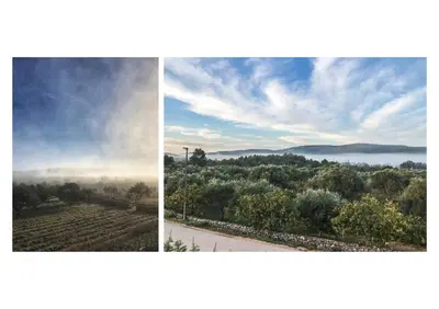 Priroda u blizini vila