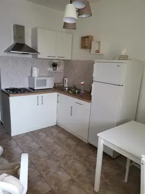 Kuhinja ili čajna kuhinja u objektu Apartmani 