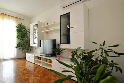TV i/ili zabavni centar u objektu Apartments Goranka 2