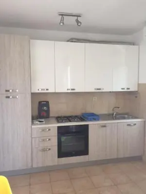 Kuhinja ili čajna kuhinja u objektu Apartments 