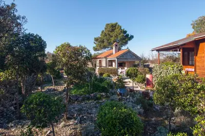 Vrt u objektu Holiday Home Stella