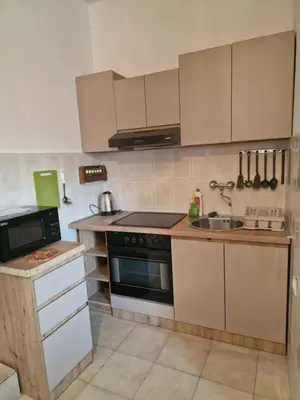 Kuhinja ili čajna kuhinja u objektu Apartments 