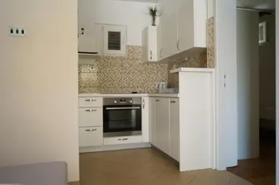 Kuhinja ili čajna kuhinja u objektu Apartments by the sea Sparadici, Sibenik - 18043