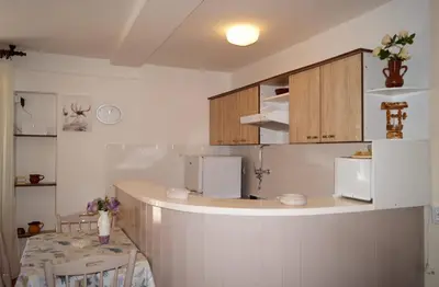 Kuhinja ili čajna kuhinja u objektu Apartments by the sea Sparadici, Sibenik - 18043