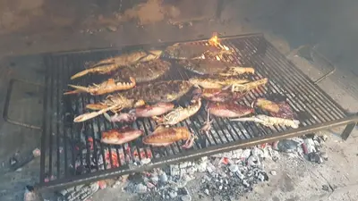 Oprema za roštilj dostupna gostima apartmana