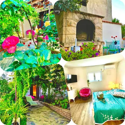 Vrt u objektu Lovely flower small house for two by the sea