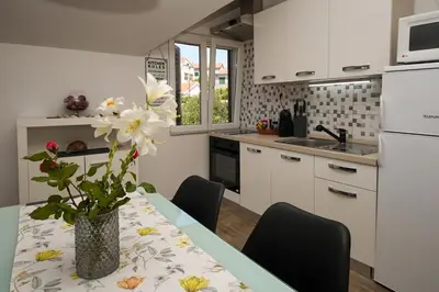 Kuhinja ili čajna kuhinja u objektu Kaprije apartmani Tina i Ena