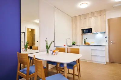 Kuhinja ili čajna kuhinja u objektu Arancini Residence