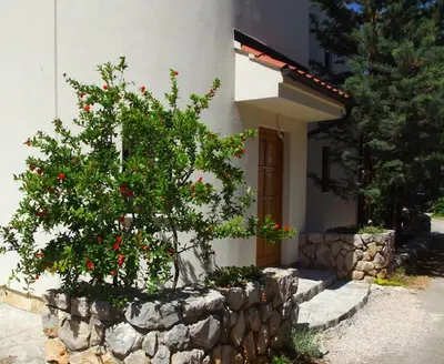 Vrt u objektu Apartmani Juliška