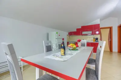 Kuhinja ili čajna kuhinja u objektu Apartment in Pirovac with sea view, terrace, air conditioning, WiFi (4925-1)