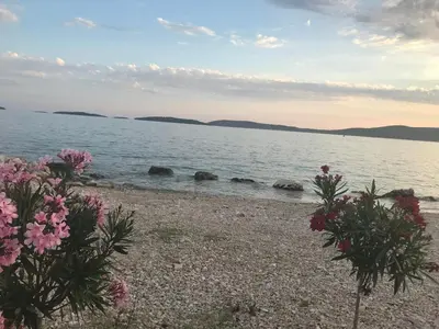 Priroda u blizini apartmana
