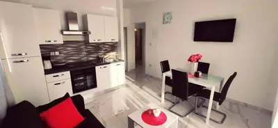 Kuhinja ili čajna kuhinja u objektu Apartments Samac