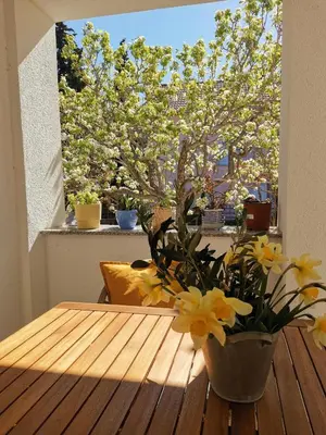 Balkon ili terasa u objektu Apartman Soto