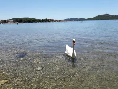 Priroda u blizini apartmana