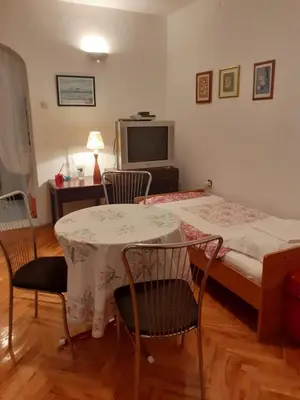 TV i/ili zabavni centar u objektu Tisno Sea View apartment