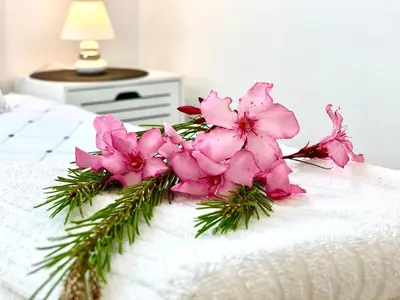 Krevet ili kreveti u jedinici u objektu Villa Maluma